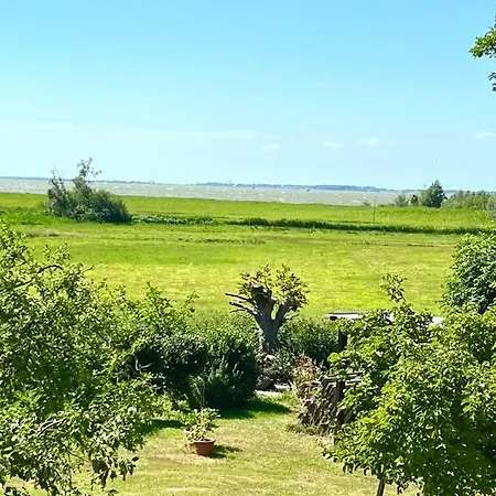 Apartment Zur Alten Boddenfischerei Heidezauber Neuendorf Heide