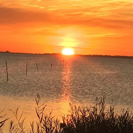 Zur Alten Boddenfischerei Heidezauber شقة