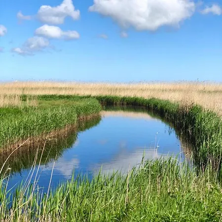 شقة Zur Alten Boddenfischerei Heidezauber *