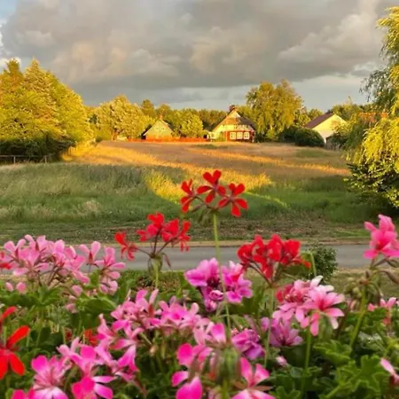 شقة Zur Alten Boddenfischerei Heidezauber *