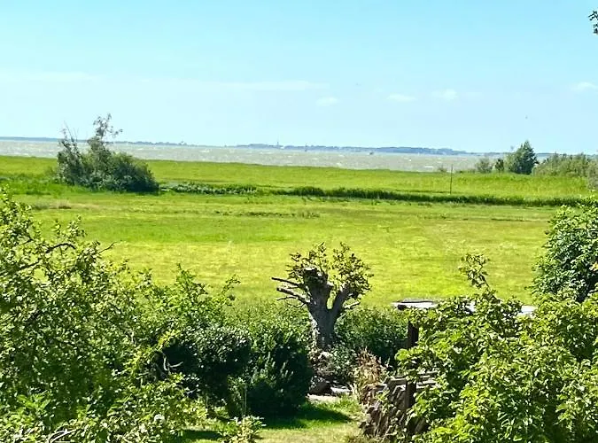 アパート Zur Alten Boddenfischerei Heidezauber Neuendorf Heide