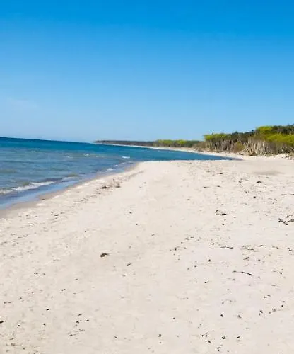アパート Zur Alten Boddenfischerei Heidezauber Neuendorf Heide