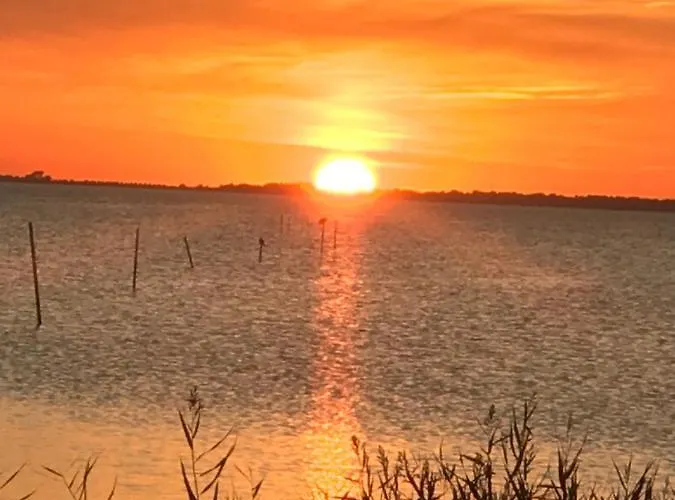 Zur Alten Boddenfischerei Heidezauber アパート