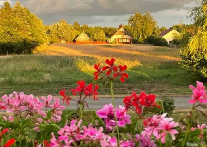 アパート Zur Alten Boddenfischerei Heidezauber *